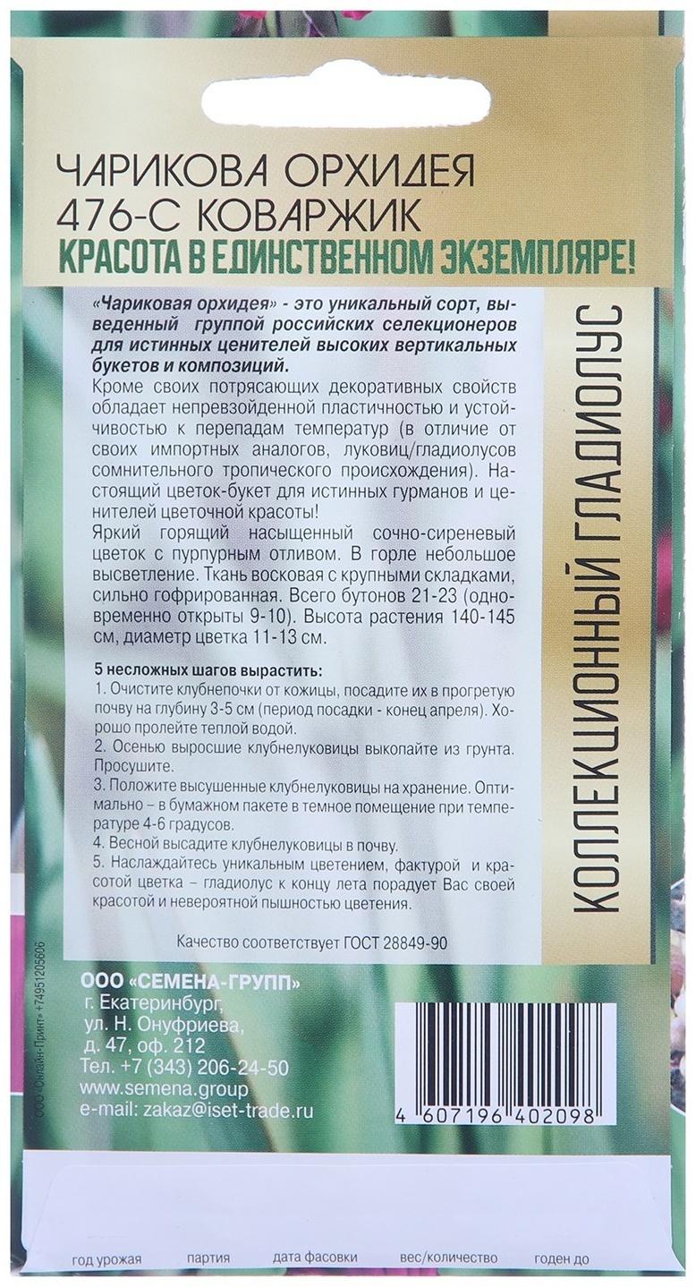 Клубнепочка гладиолуса Чарикова Орхидея (ярко-розовый), 5 шт.