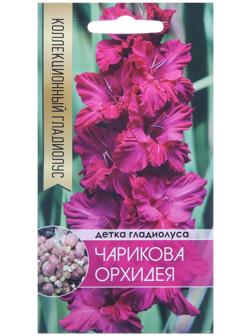 Клубнепочка гладиолуса Чарикова Орхидея (ярко-розовый), 5 шт.