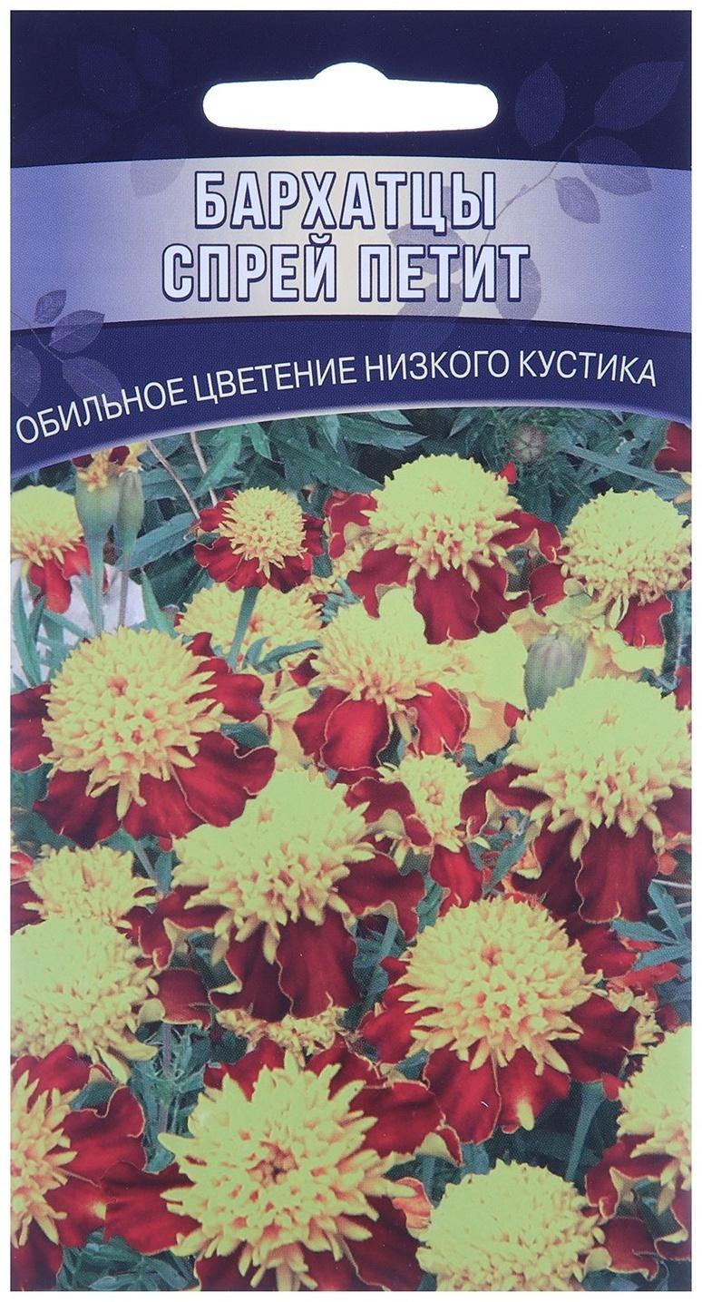 Семена цветов Бархатцы 