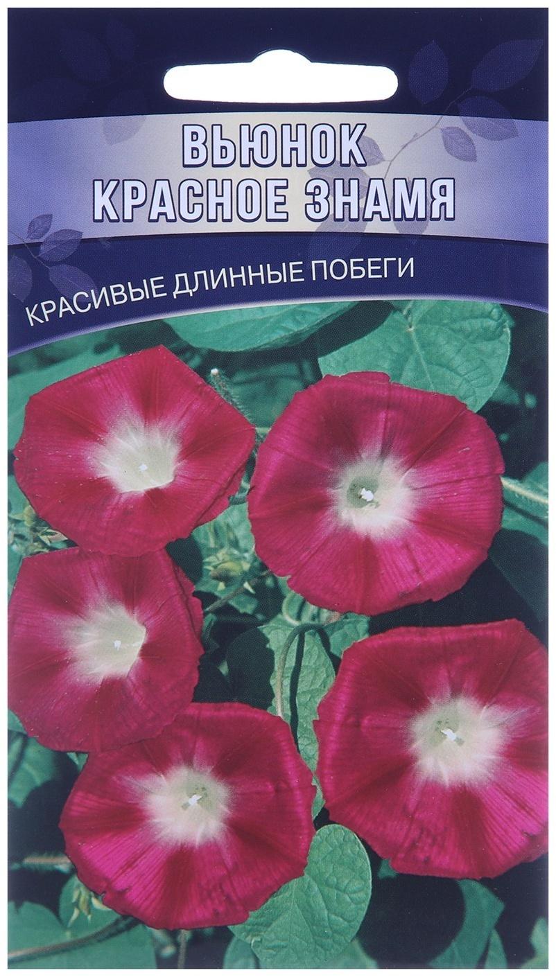 Семена цветов Вьюнок 