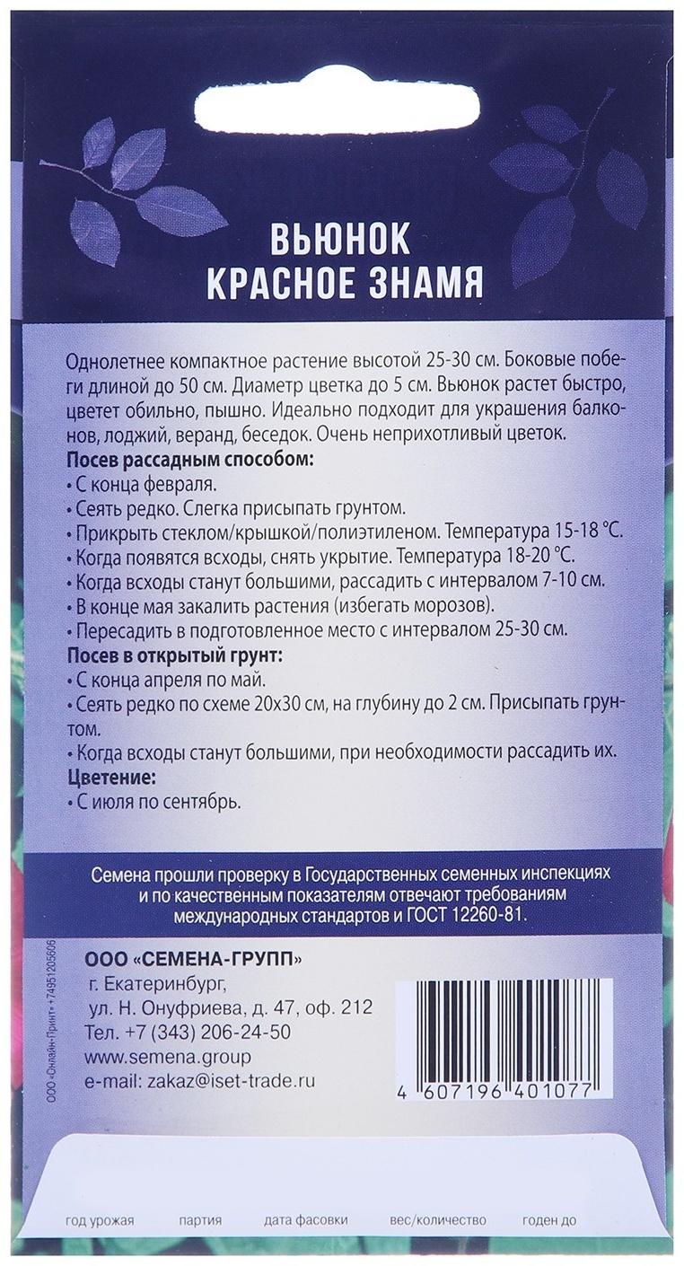 Семена цветов Вьюнок 