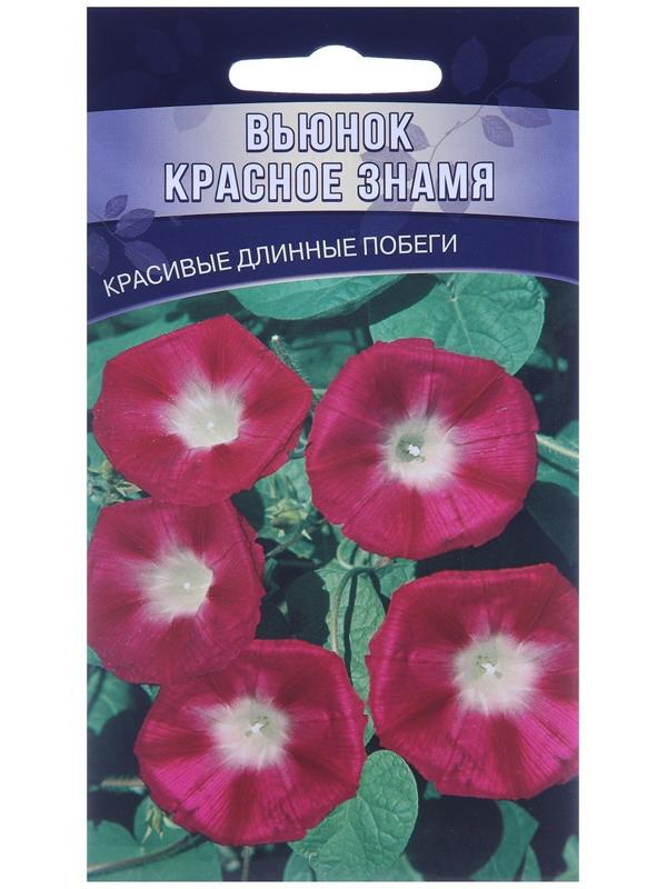 Семена цветов Вьюнок 