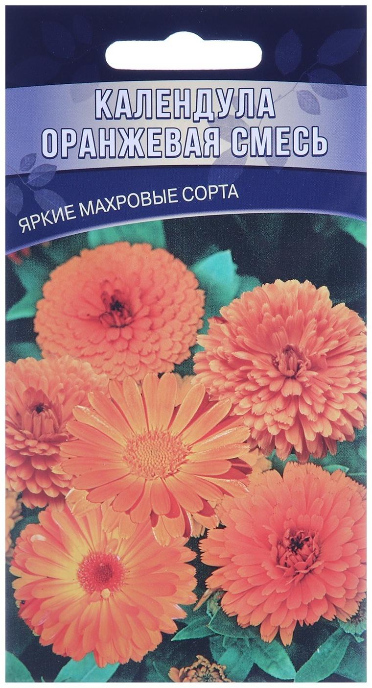 Семена цветов Календула 