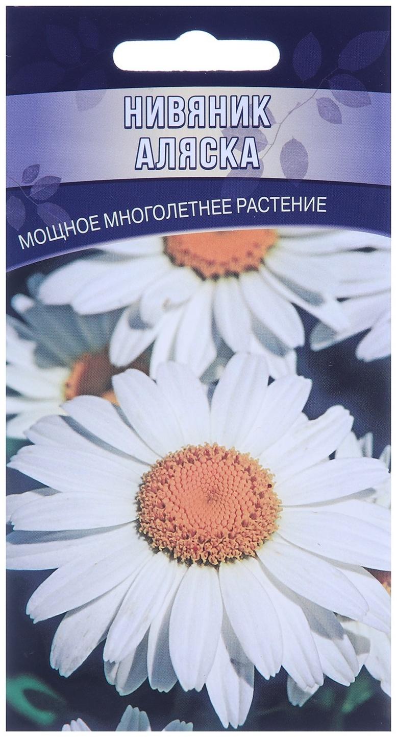 Семена цветов Нивяник 