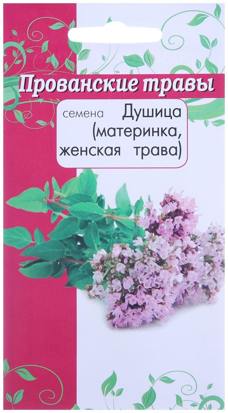 Семена Душица Органза 