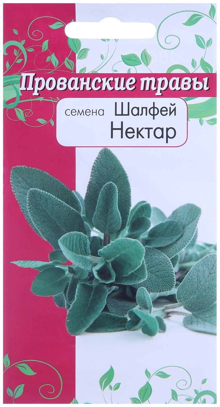 Семена Шалфей Нектар 