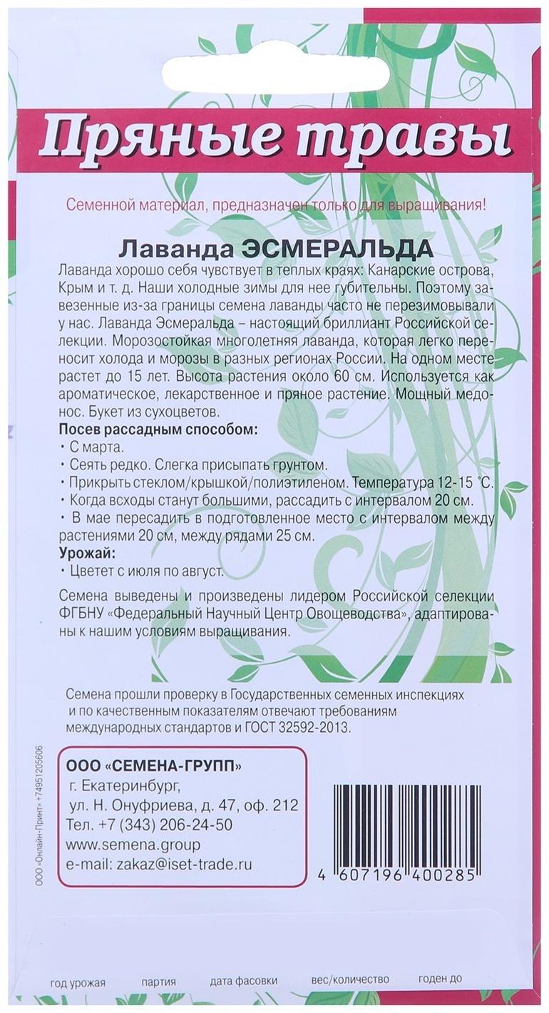 Семена Лаванда Эсмиральда  