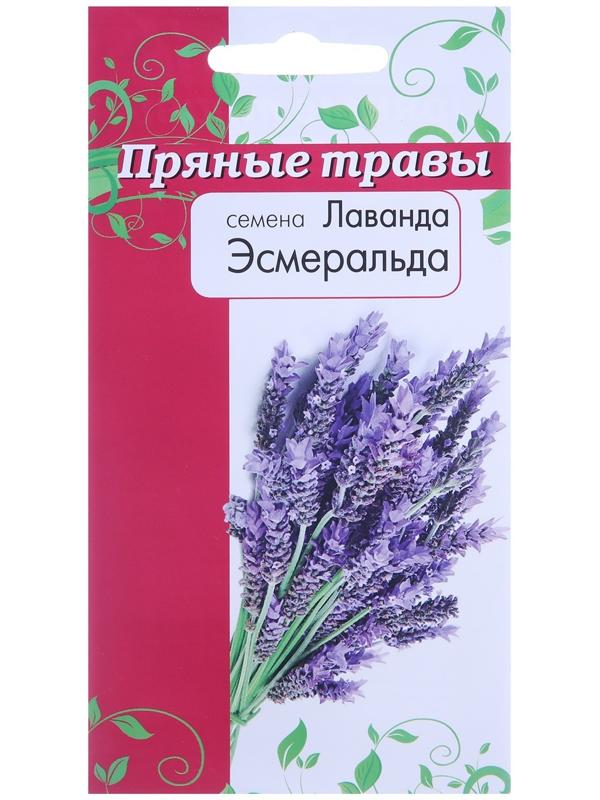 Семена Лаванда Эсмиральда  