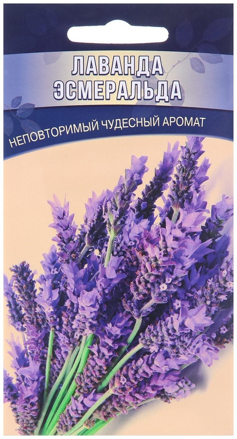 Семена Лаванда Эсмеральда 0,05 г