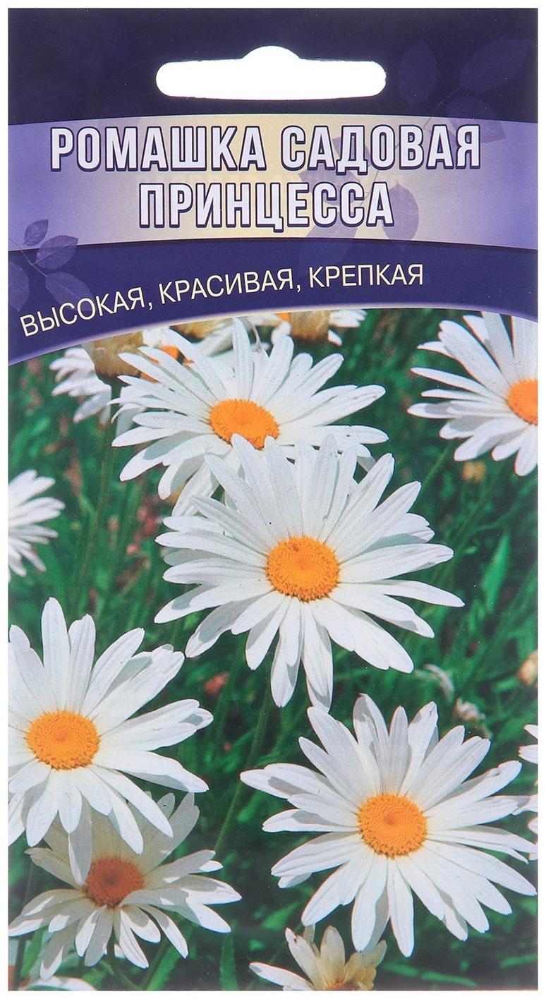 Семена цветов Ромашка 