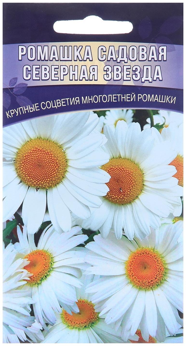 Семена цветов Ромашка садовая 
