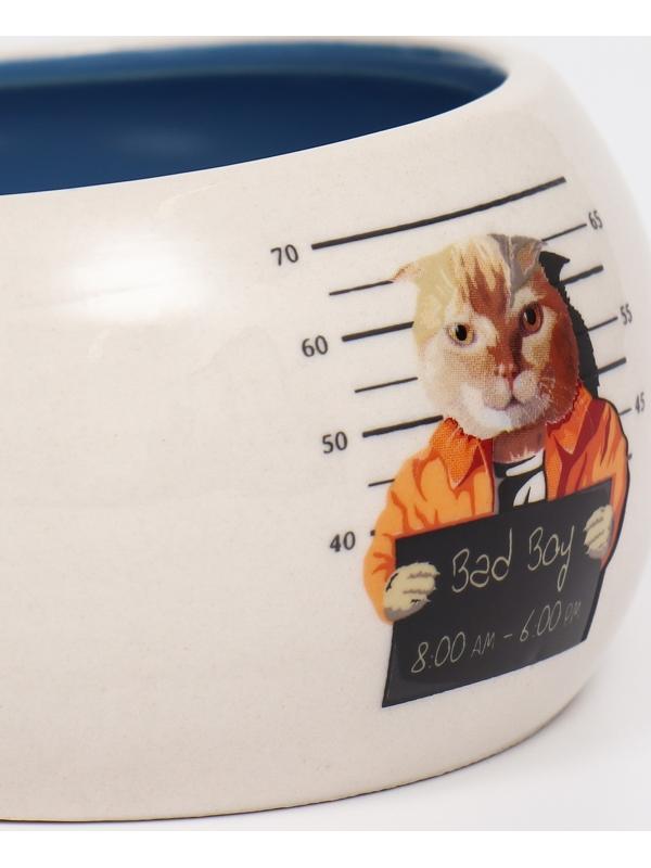 Миска керамическая со скошенным краем 