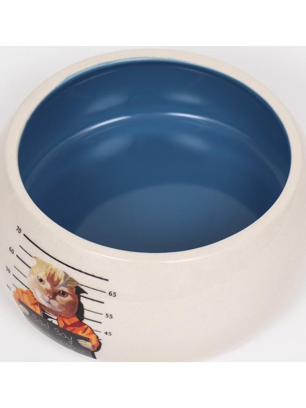 Миска керамическая со скошенным краем 