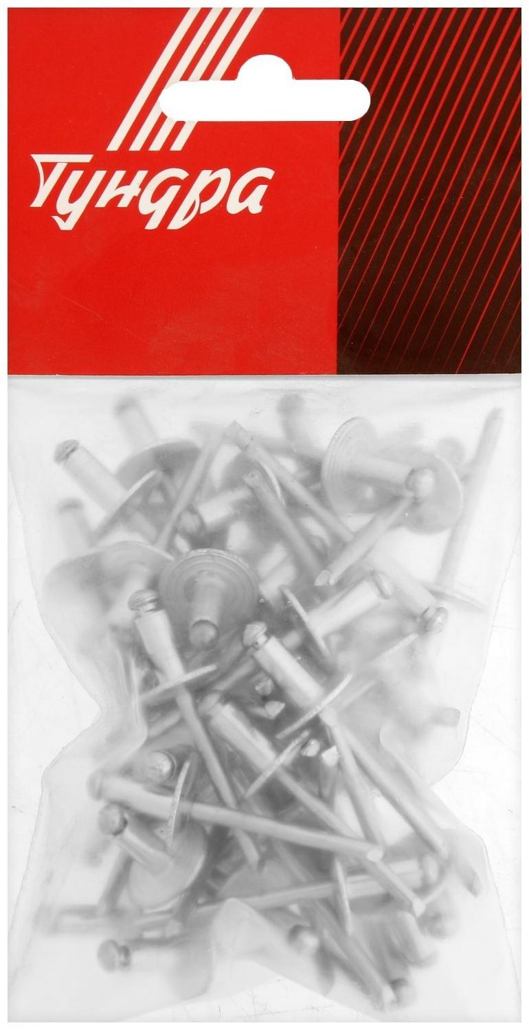 Заклёпки ТУНДРА krep, вытяжные, алюминий-сталь, 4,8х12 мм, неокрашенные, 50 шт