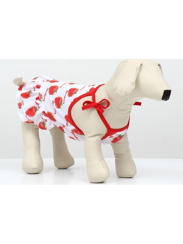 Платье для животных Клубничка», XS (ДС 20, ОГ 30 см), белое