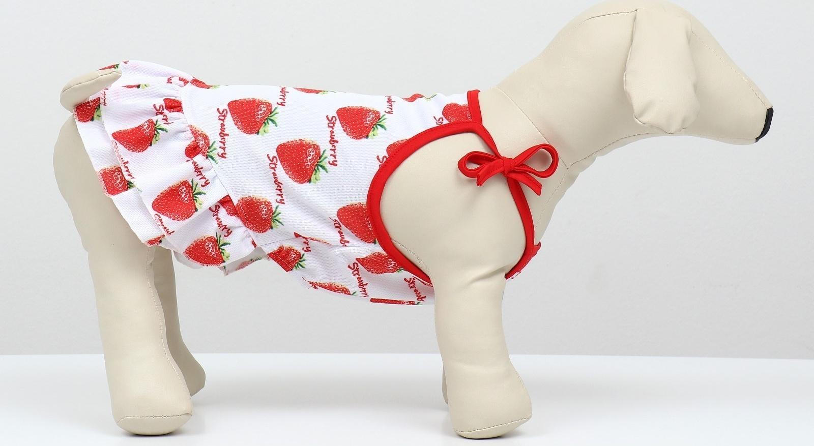 Платье для животных Клубничка», XL (ДС 40, ОГ 50 см), белое