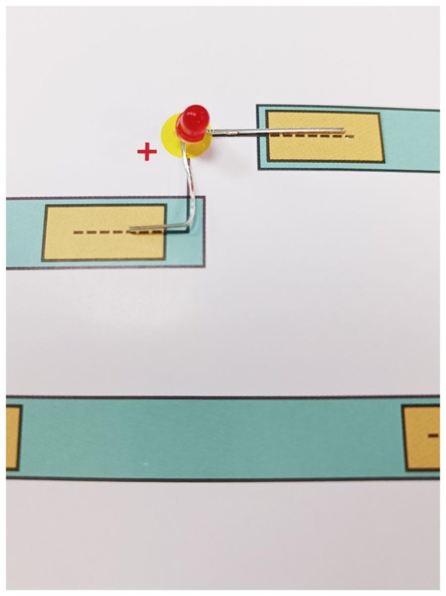 Набор для опытов «Райский сад» (открытка формат А5)