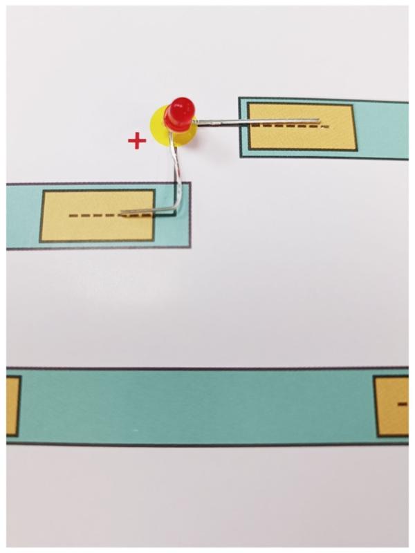 Набор для опытов «Райский сад» (открытка формат А5)