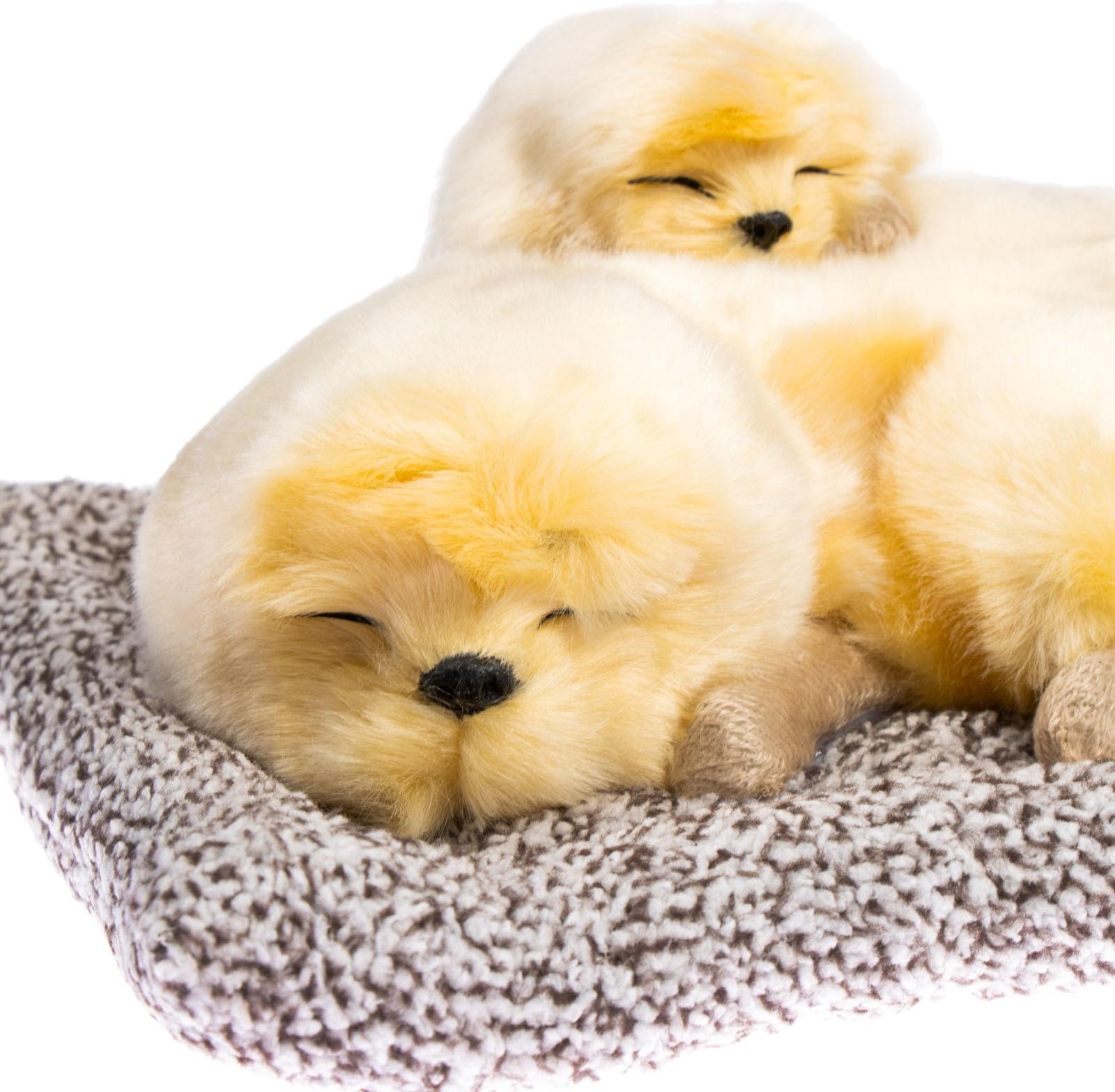 Игрушка на панель авто, собаки на подушке, бежевый окрас