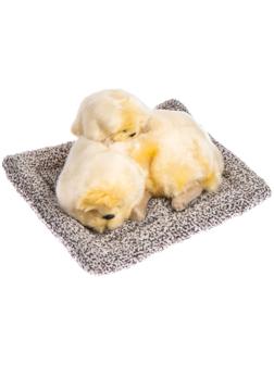 Игрушка на панель авто, собаки на подушке, бежевый окрас