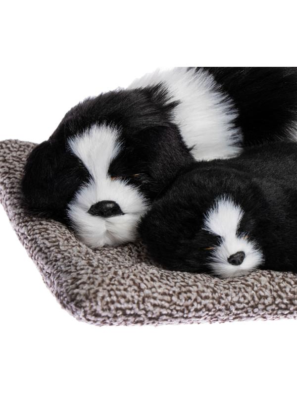 Игрушка на панель авто, собаки на подушке, бело-черный окрас