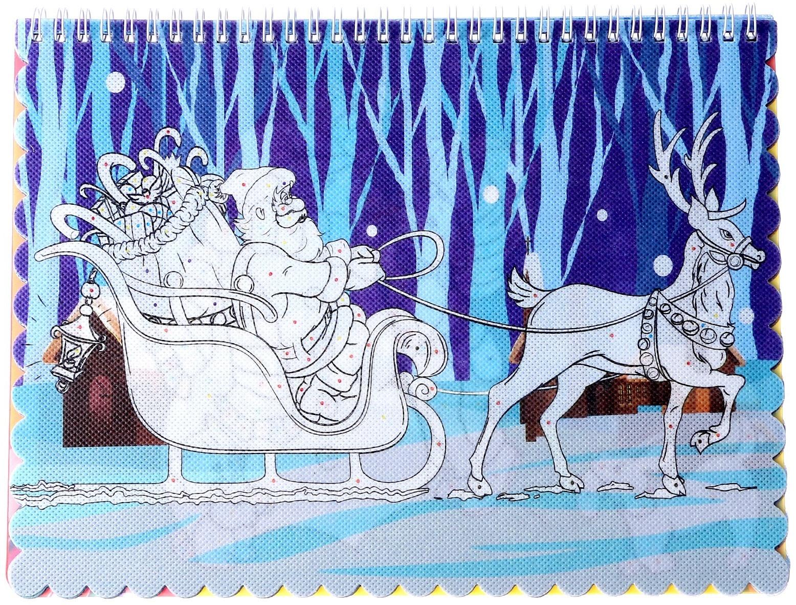 Книжка-раскраска многоразовая «Новый год» фломастеры 12 цв., 3D очки, бутылочка для воды