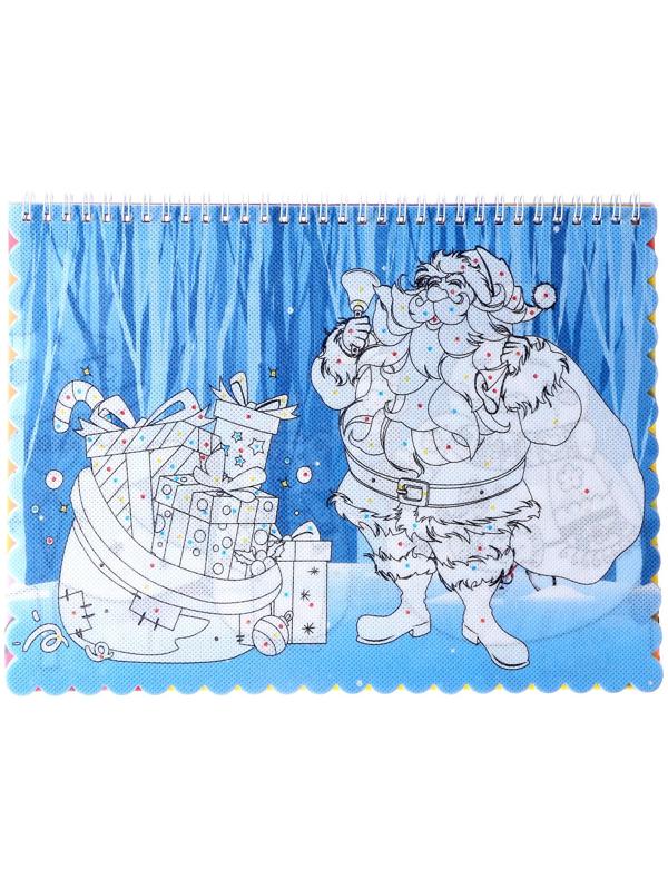 Книжка-раскраска многоразовая «Новый год» фломастеры 12 цв., 3D очки, бутылочка для воды