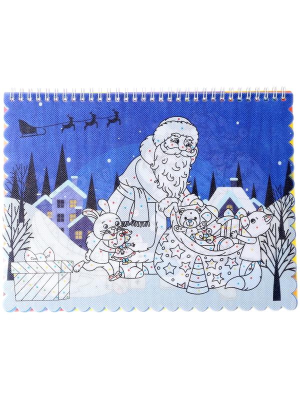 Книжка-раскраска многоразовая «Новый год» фломастеры 12 цв., 3D очки, бутылочка для воды