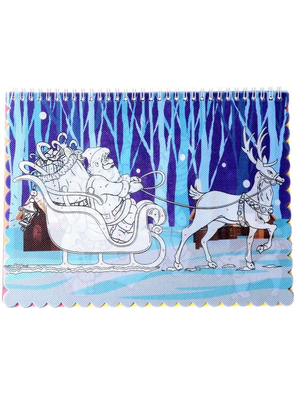 Книжка-раскраска многоразовая «Новый год» фломастеры 12 цв., 3D очки, бутылочка для воды