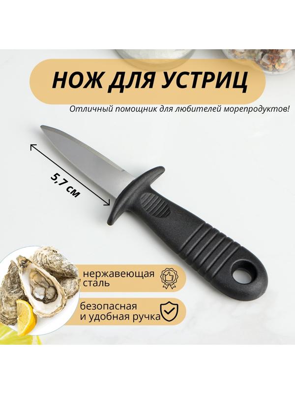 Нож для устриц Доляна, 14×4,4 см, длина лезвия 5,7см, цвет чёрный