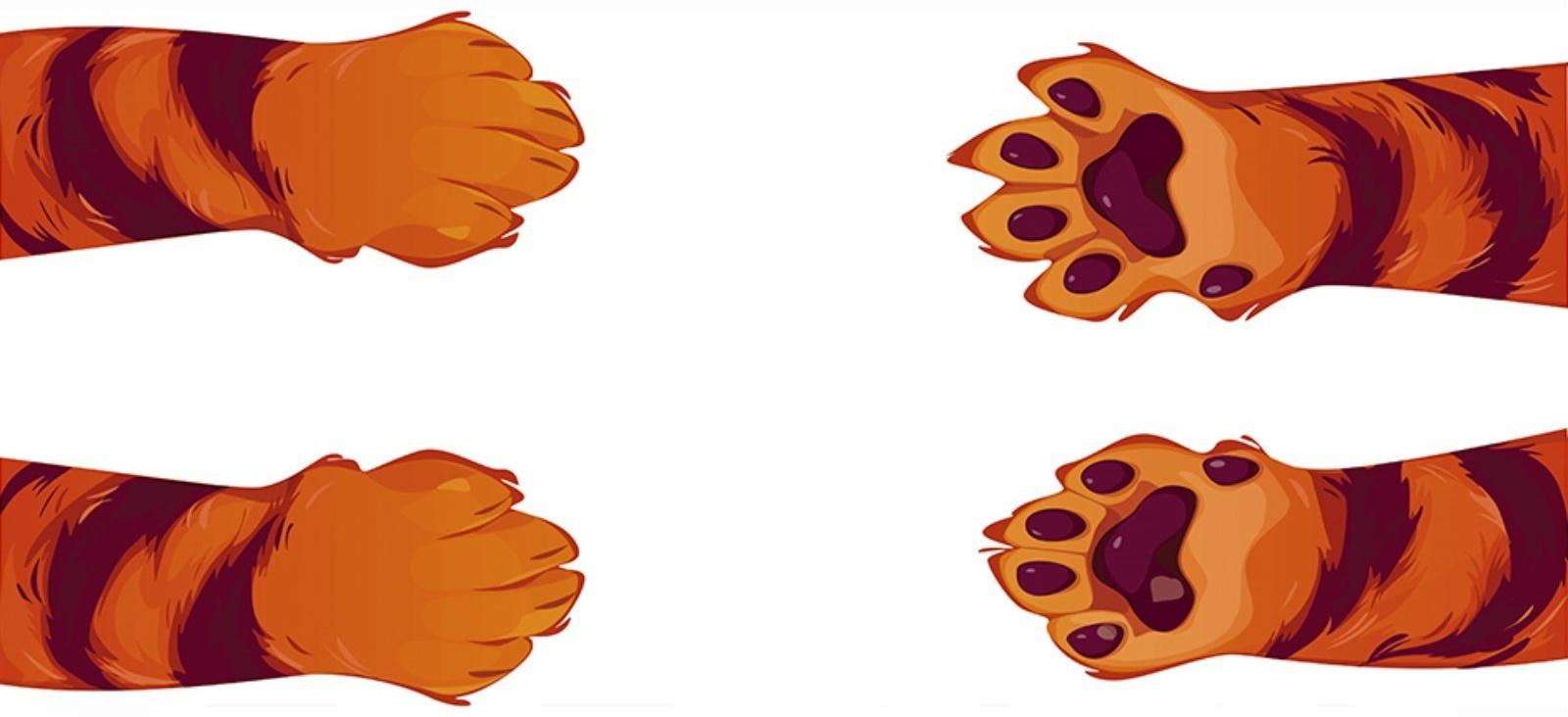 Защитная самоклеящаяся пленка на месте кормления/туалета питомца 