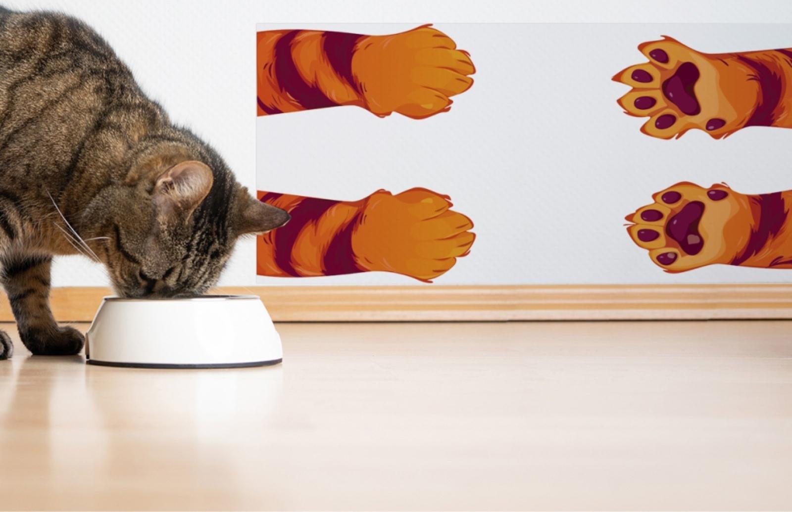 Защитная самоклеящаяся пленка на месте кормления/туалета питомца 