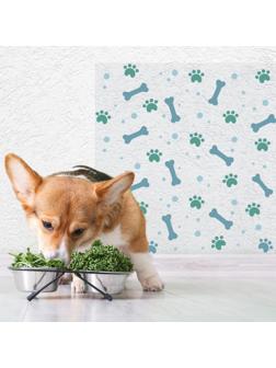 Защитная самоклеящаяся пленка на месте кормления/туалета питомца 