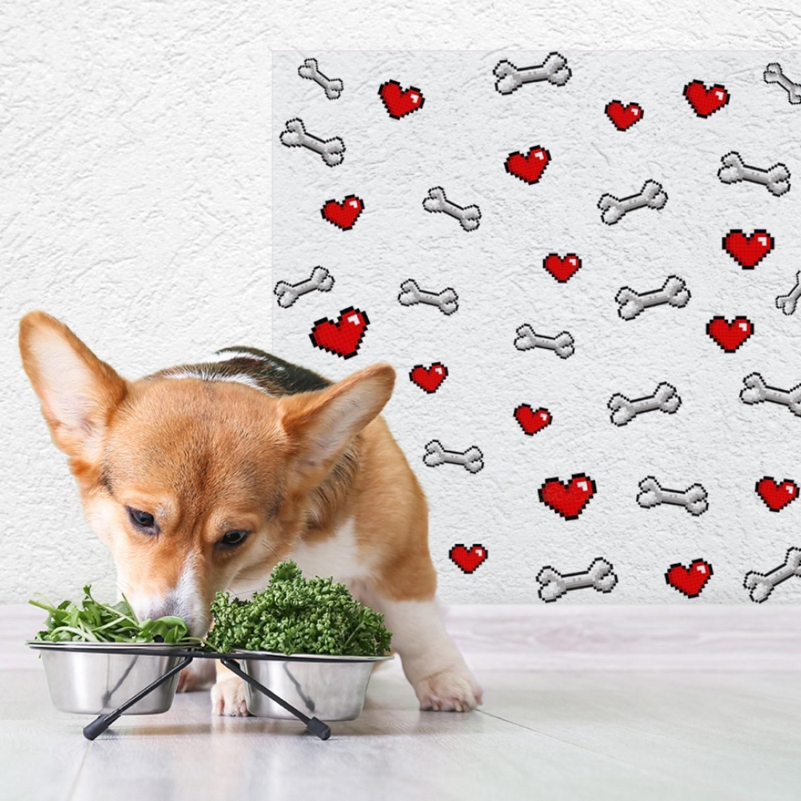 Защитная самоклеящаяся пленка на месте кормления/туалета питомца 