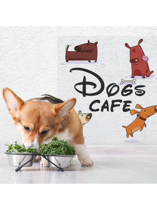 Защитная самоклеящаяся пленка на месте кормления/туалета питомца 