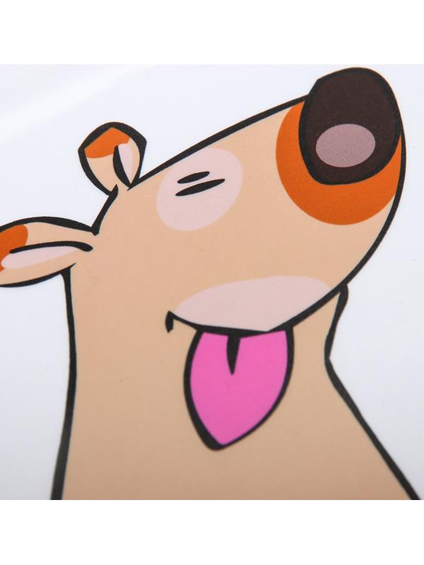 Защитная самоклеящаяся пленка на месте кормления/туалета питомца 