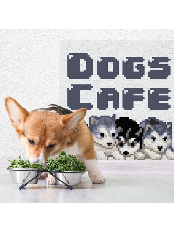 Защитная самоклеящаяся пленка на месте кормления/туалета питомца 