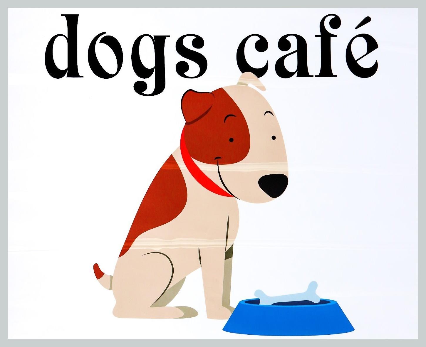 Защитная самоклеящаяся пленка на месте кормления/туалета питомца 