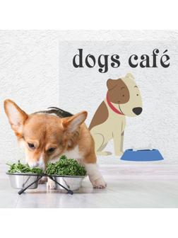 Защитная самоклеящаяся пленка на месте кормления/туалета питомца 