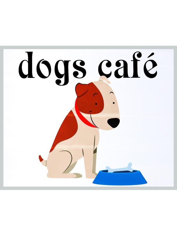 Защитная самоклеящаяся пленка на месте кормления/туалета питомца 