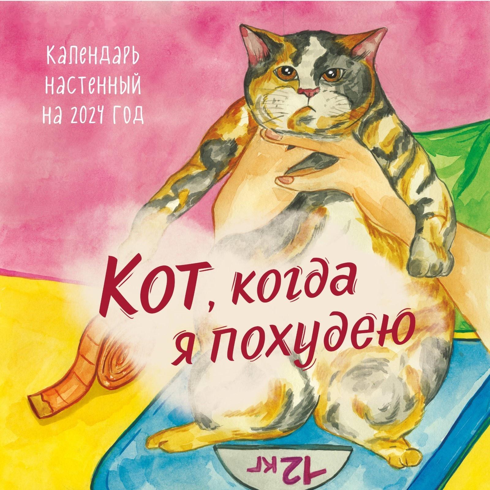 Кот, когда я похудею. Календарь настенный на 2024 год, 30х30 см