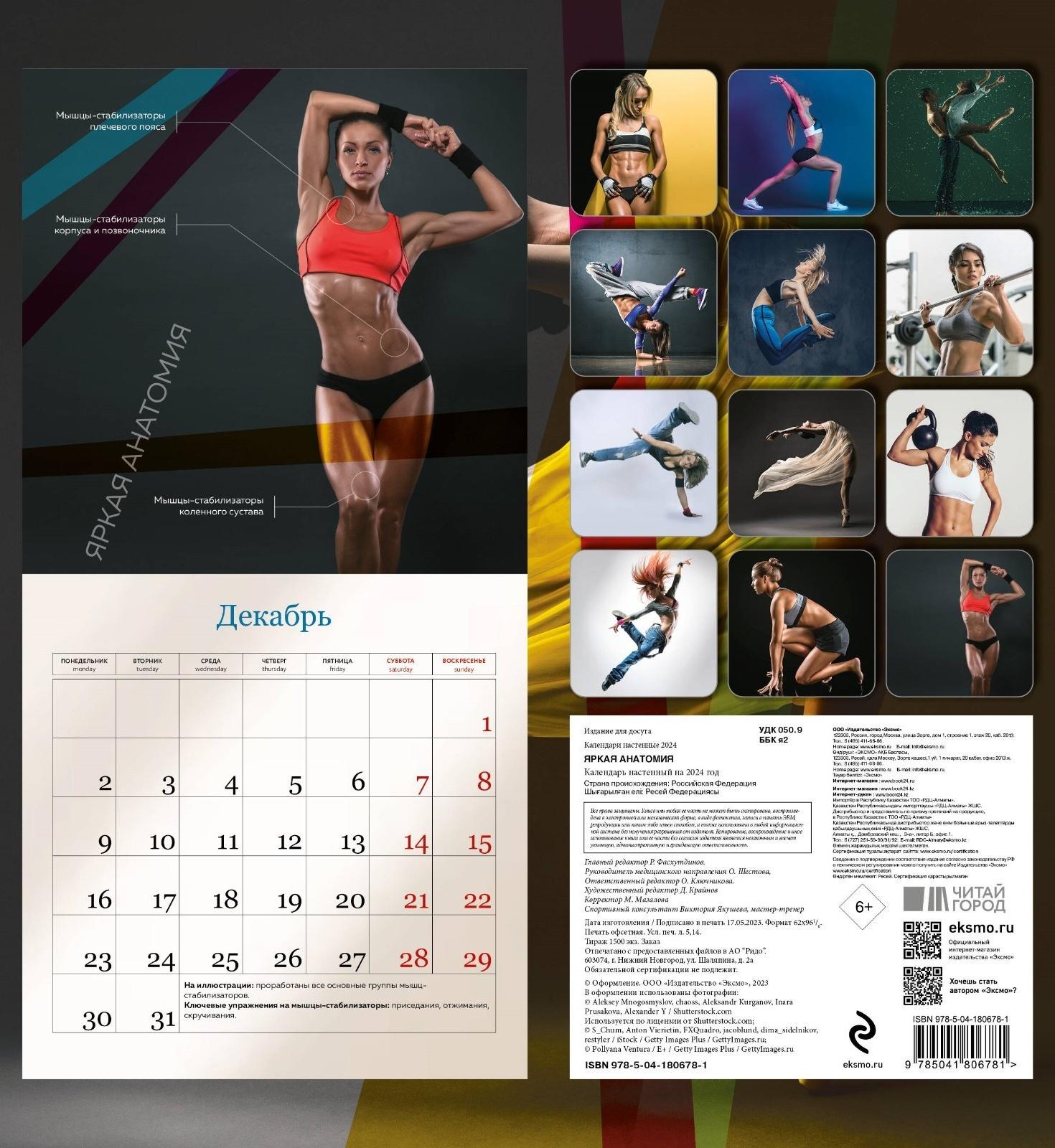 Яркая анатомия. Календарь настенный на 2024 год, 30х30 см