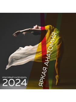 Яркая анатомия. Календарь настенный на 2024 год, 30х30 см