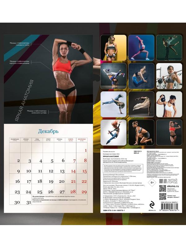 Яркая анатомия. Календарь настенный на 2024 год, 30х30 см
