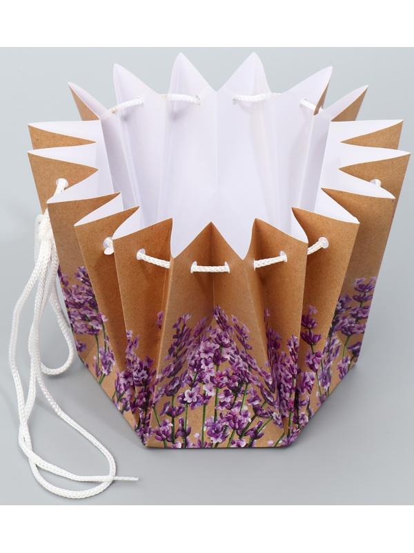 Аквабокс «Лаванда», 14.5 х 14.5 х 14.5 см