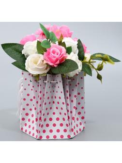 Аквабокс «Горох», 14.5 х 14.5 х 14.5 см