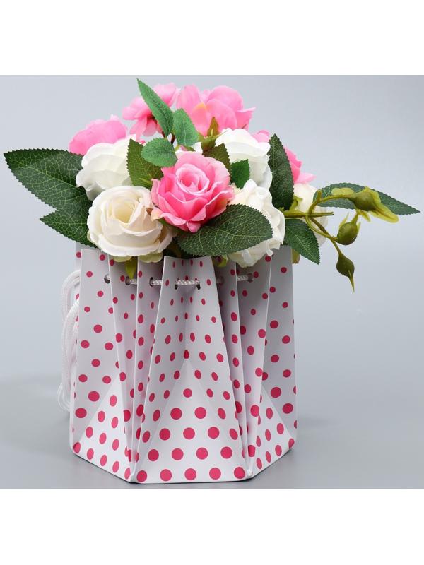 Аквабокс «Горох», 14.5 х 14.5 х 14.5 см