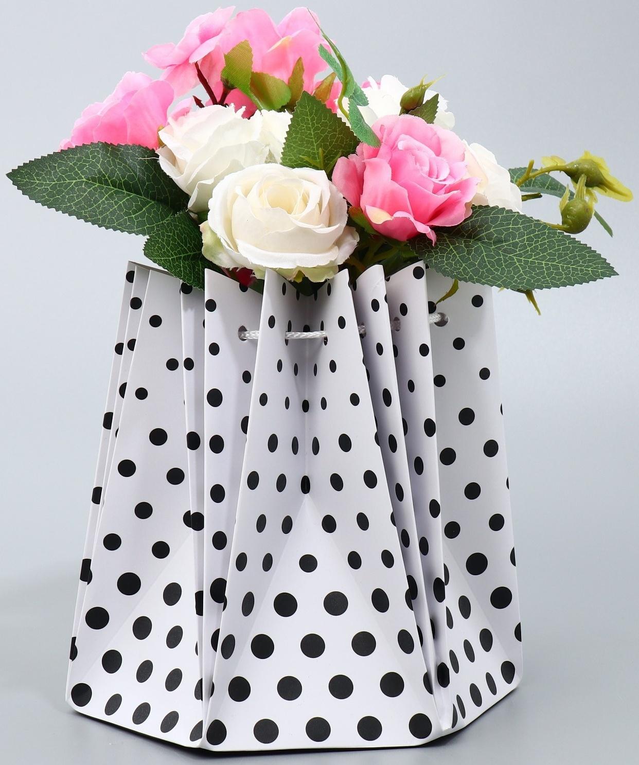 Аквабокс «Горох», 18 х 18 х 18 см