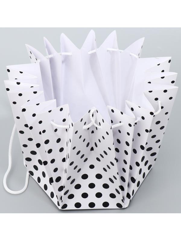 Аквабокс «Горох», 18 х 18 х 18 см