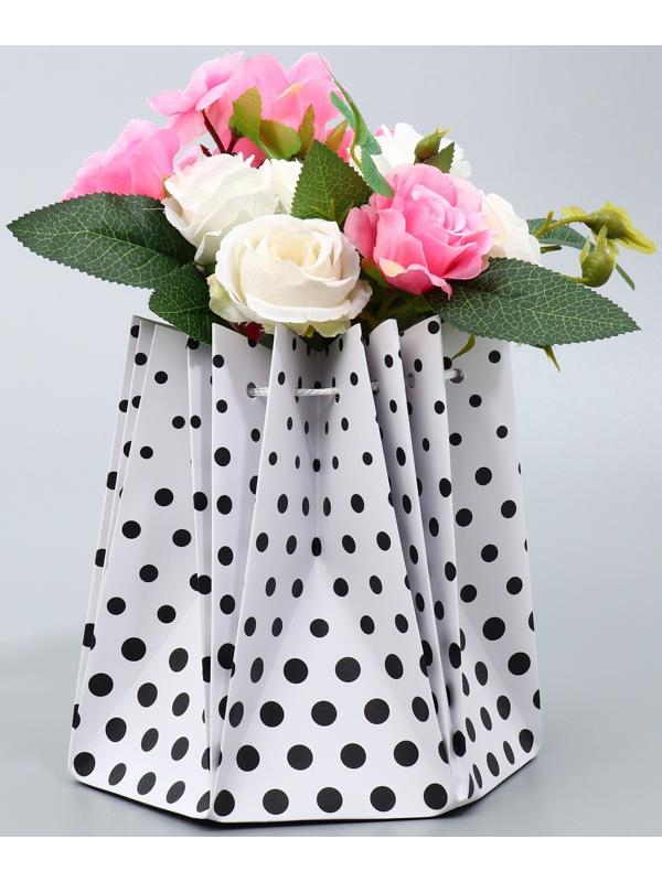 Аквабокс «Горох», 18 х 18 х 18 см